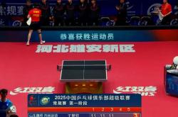 运动员们在赛场上展现出顶尖的球技