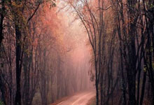 阿贾克斯客场取胜，晋级淘汰赛机会大增