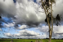 北京时间今晚，法甲球队之间的厮杀令人期待