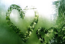 来自非洲的选手勇夺冠军为祖国争光