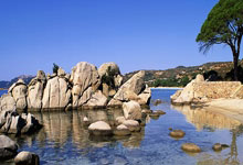 盎格鲁拉主帅怒斥球员表现，备战土耳其欧洲杯预选赛需全力以赴