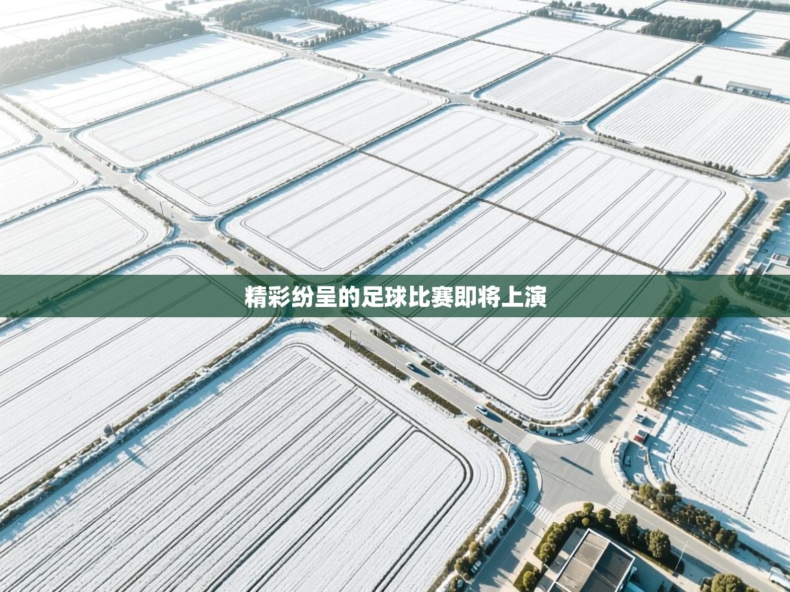 精彩纷呈的足球比赛即将上演 第2张