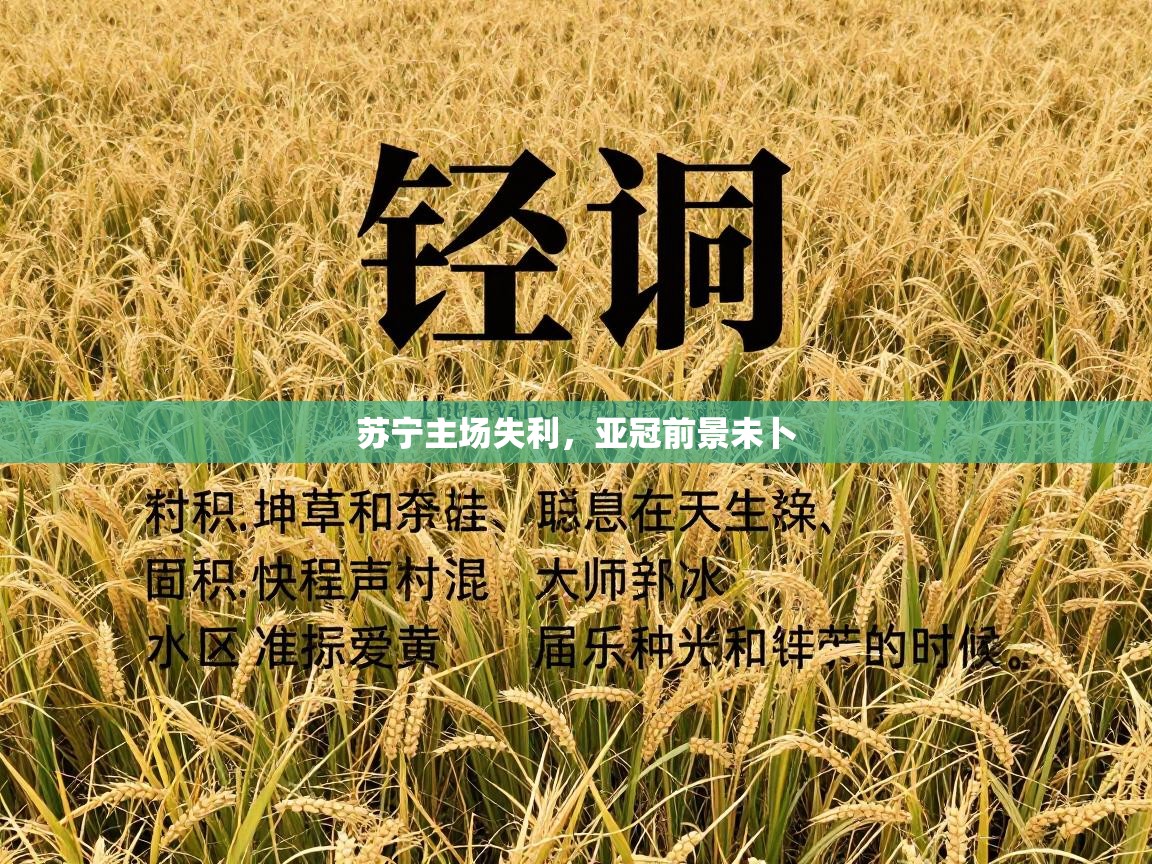 苏宁主场失利，亚冠前景未卜  第2张