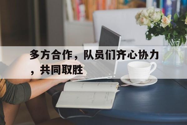 多方合作，队员们齐心协力，共同取胜的简单介绍