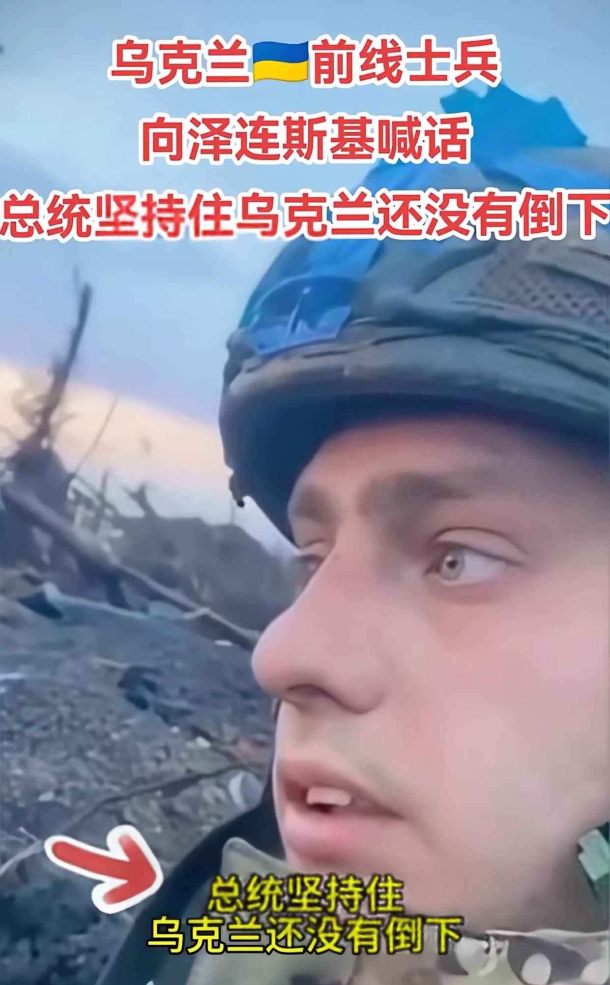 包含乌克兰队主场击败斯洛文尼亚，小组出线形势乐观的词条